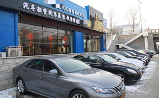 汽车租赁公司老板不小心透露 为什么都买这些车出租？